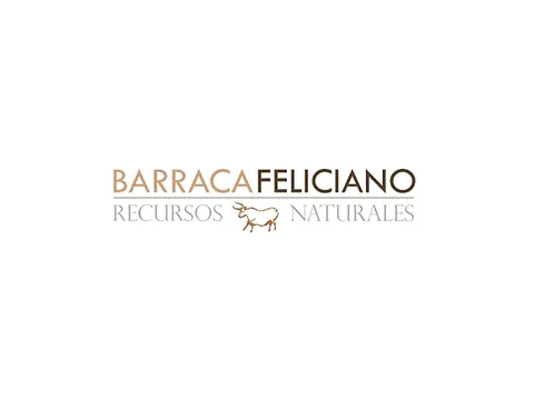 Barraca Feliciano — branding